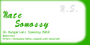 mate somossy business card